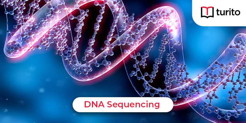 DNA sequencing