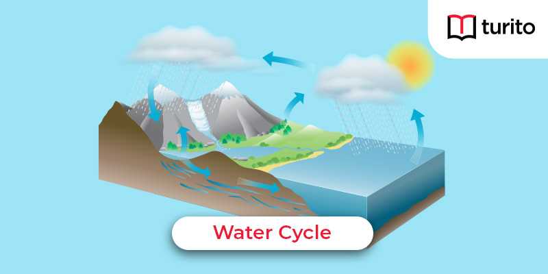 Water Cycle