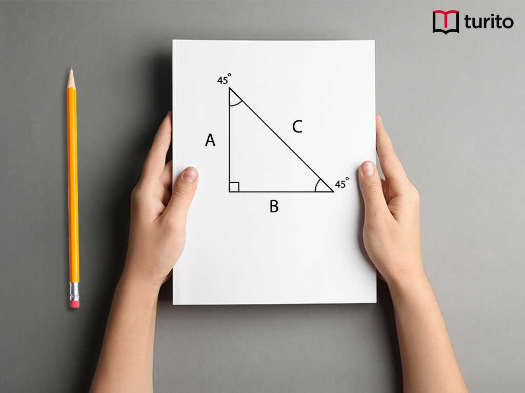 solve right triangles