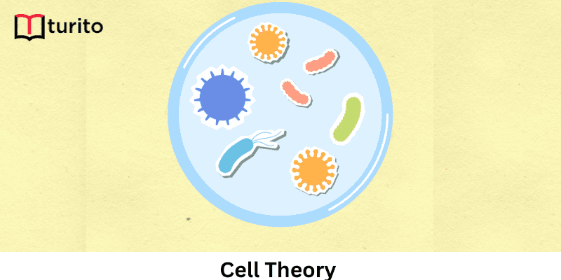 Cell Theory