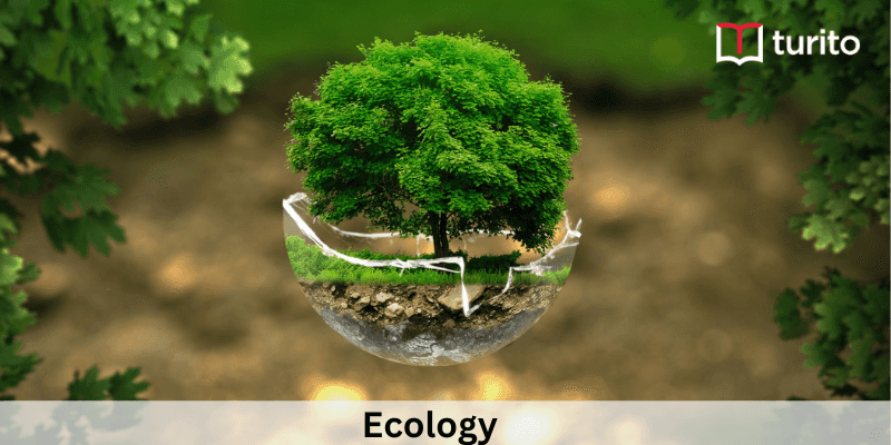 Ecology