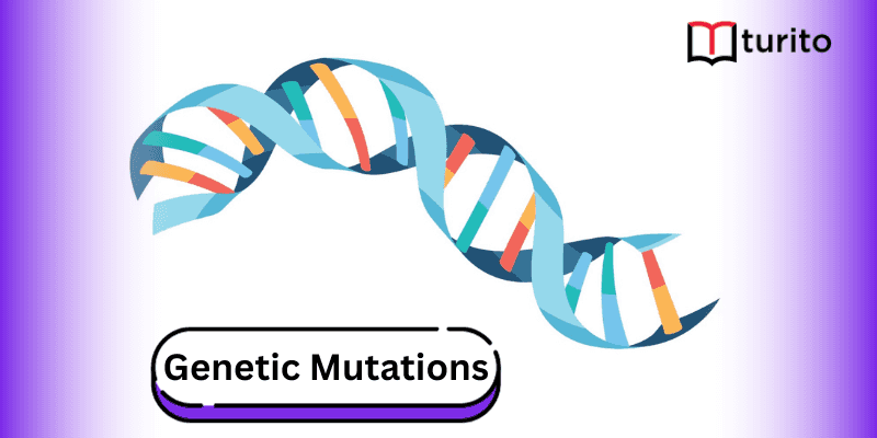 Genetic Mutations