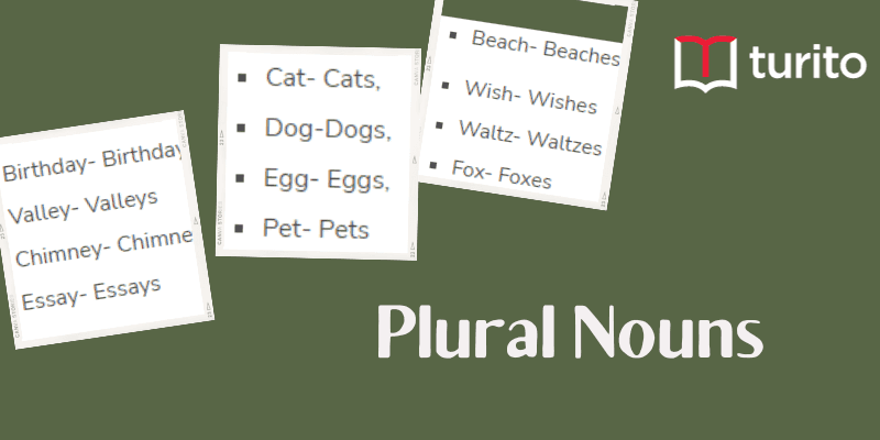 Plural Nouns