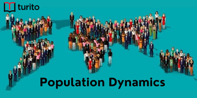 Population Dynamics