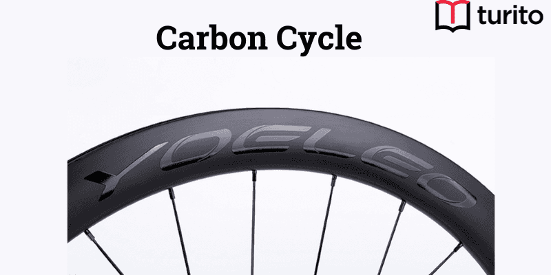 carbon-cycle