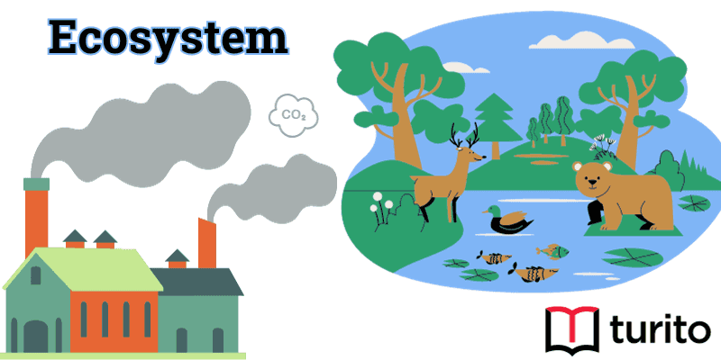 ecosystem