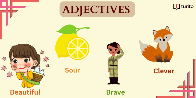 Adjectives