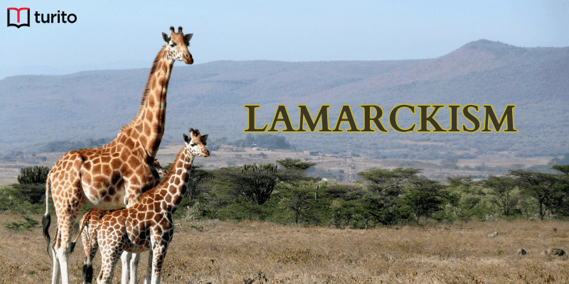 LAMARCKISM