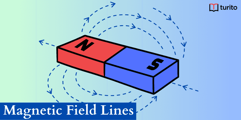 Magnetic Field Lines