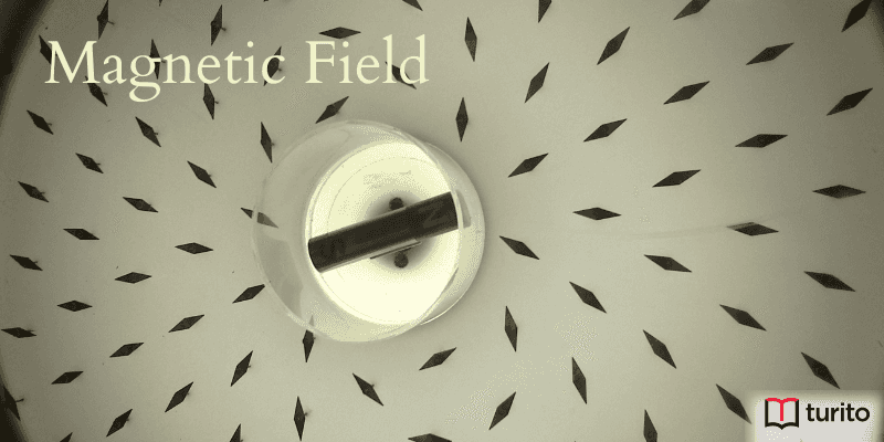 Magnetic Field