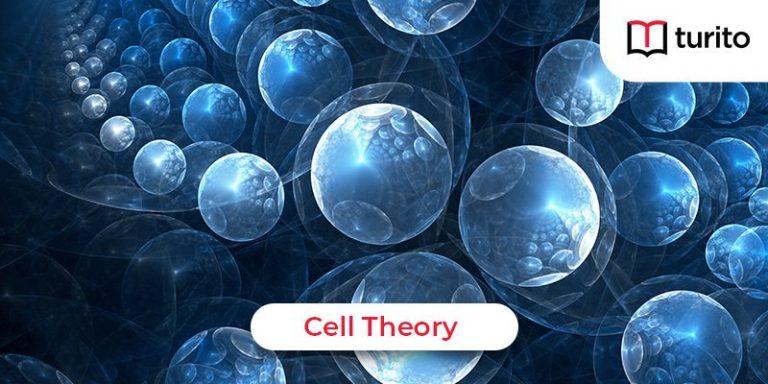 Cell Theory