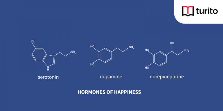 Happy Hormones