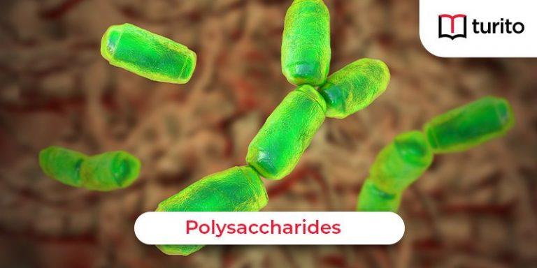 polysaccharides