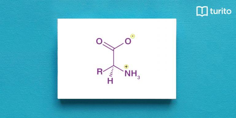 zwitterion